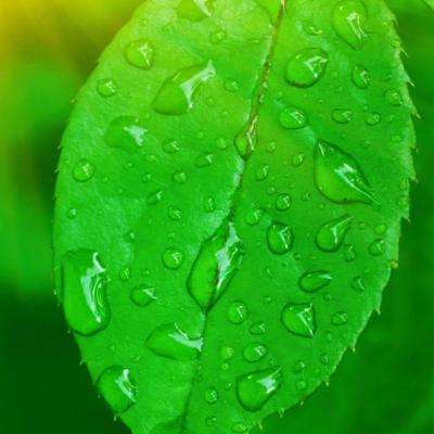 海绵宝宝的大冒险